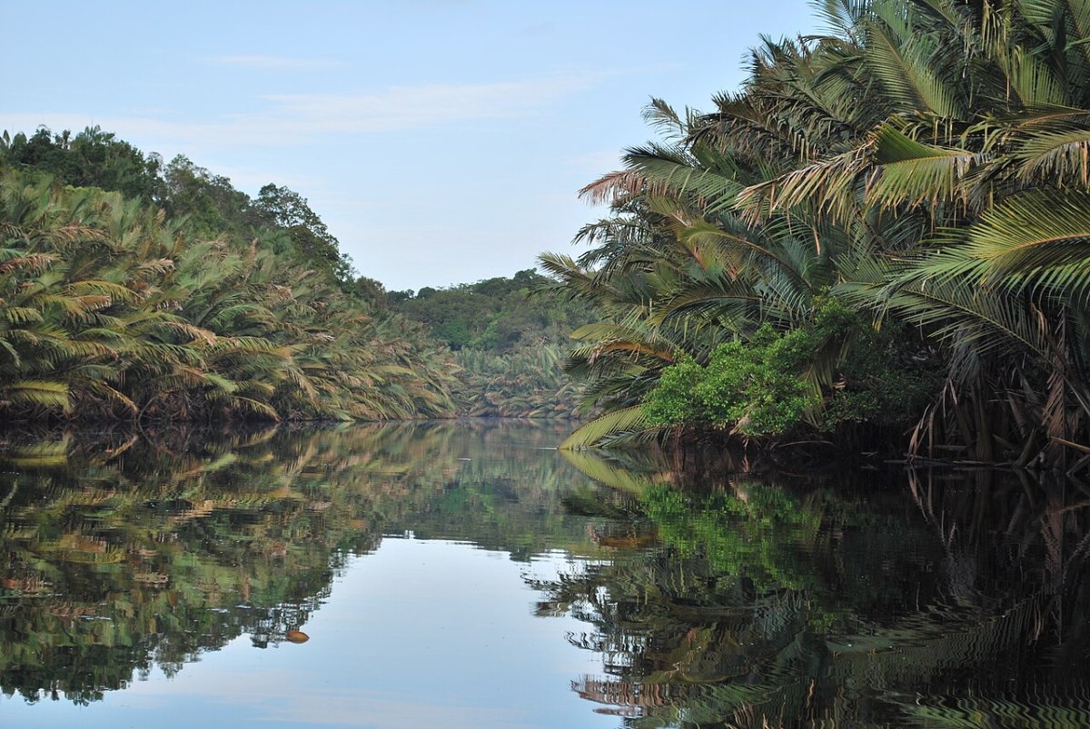 Taman Nasional Berbak Sembilang